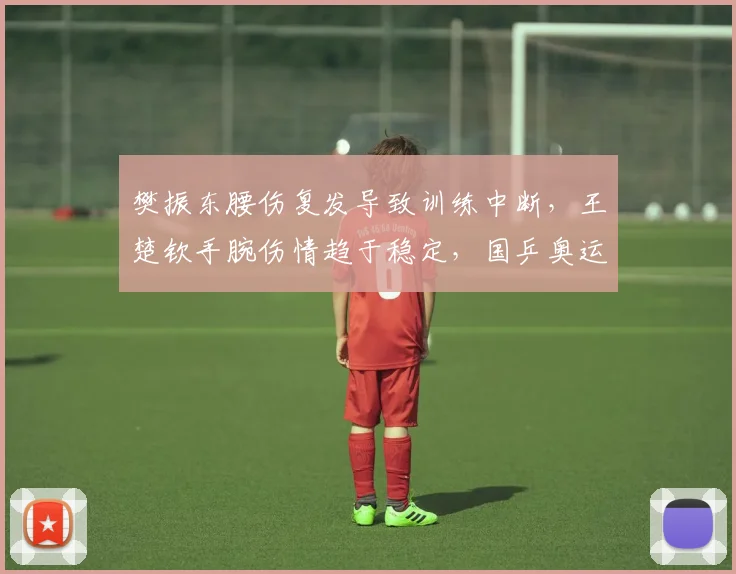 樊振东腰伤复发导致训练中断，王楚钦手腕伤情趋于稳定，国乒奥运备战核心策略截然不同